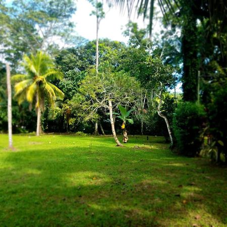 Casita Amarilla Vila Cahuita Exterior foto