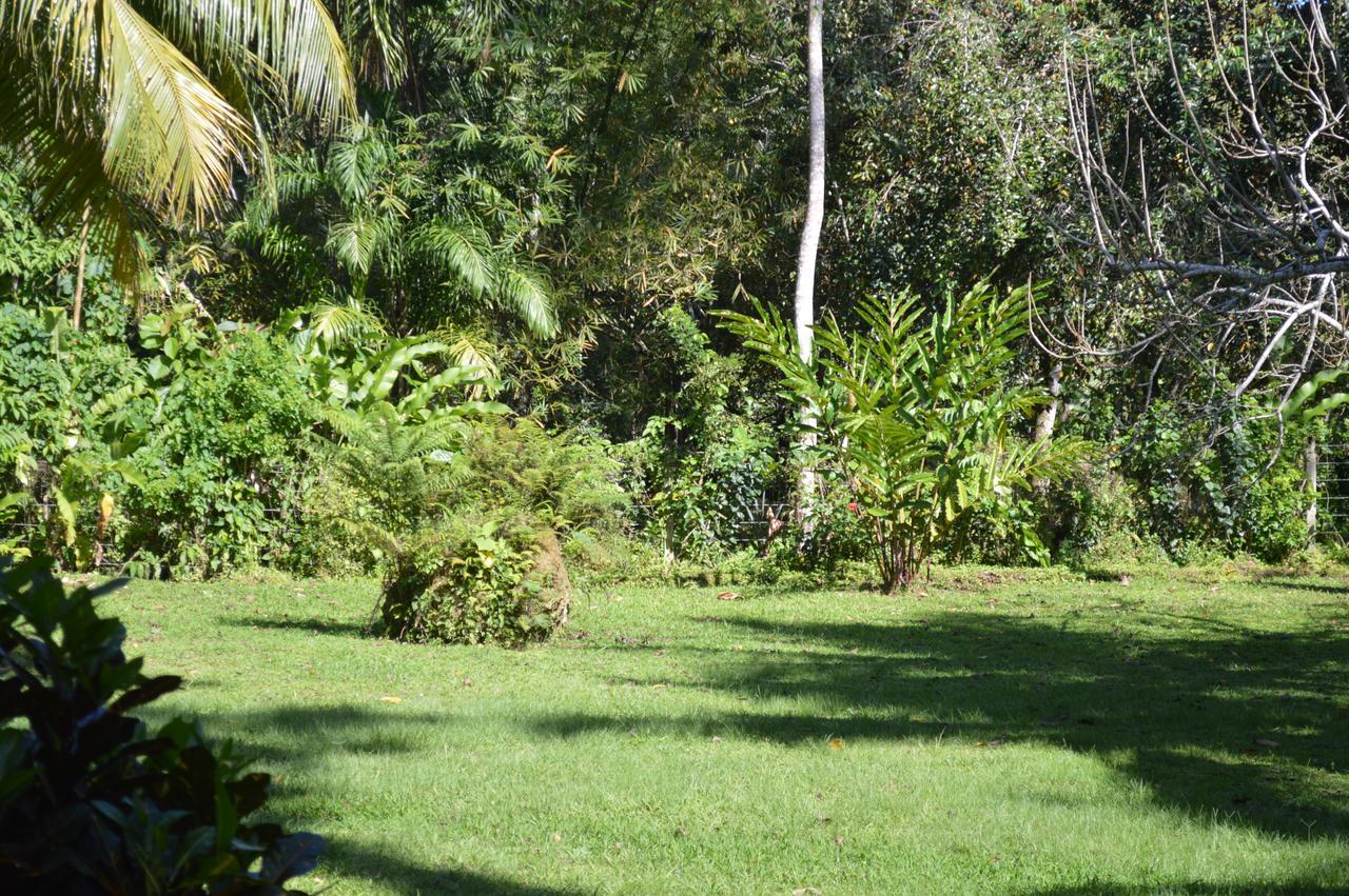 Casita Amarilla Vila Cahuita Exterior foto
