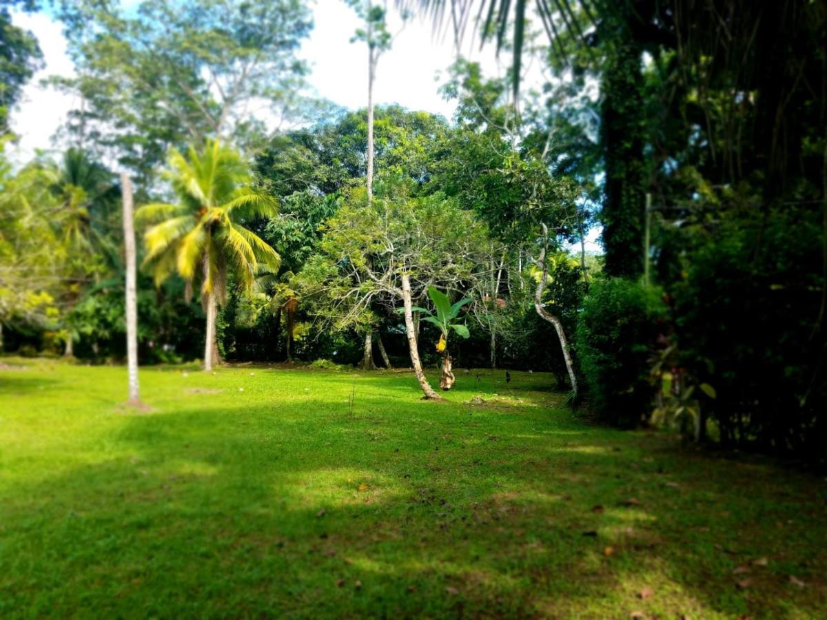 Casita Amarilla Vila Cahuita Exterior foto